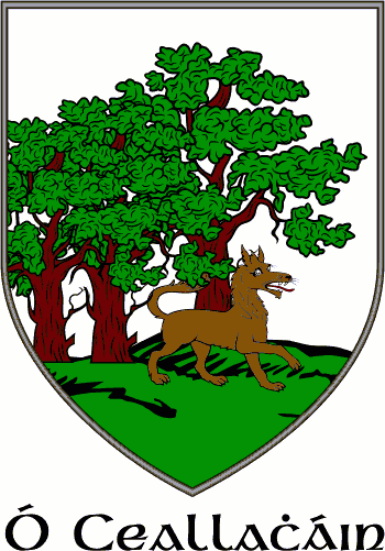 CALLAHAN family crest CALLAHAN family crest